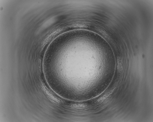 X0000057100445200509161659