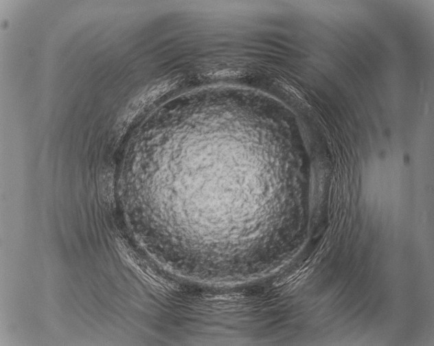 X0000057100447200509161659