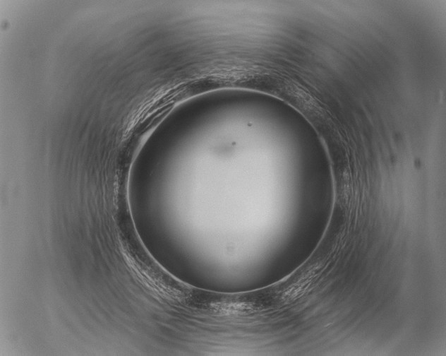 X0000057100448200509161659