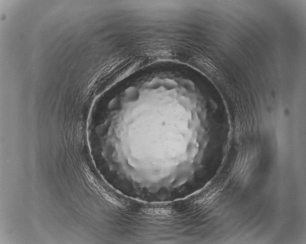 X0000057100449200509161659