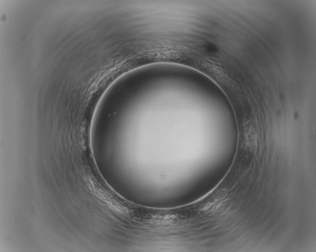 X0000057100450200509161659