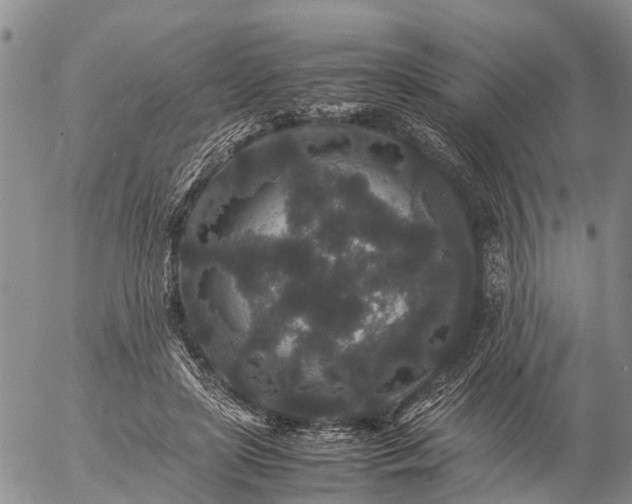 X0000057100451200509161659