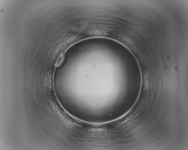 X0000057100453200509161659