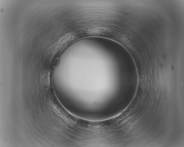 X0000057100454200509161659