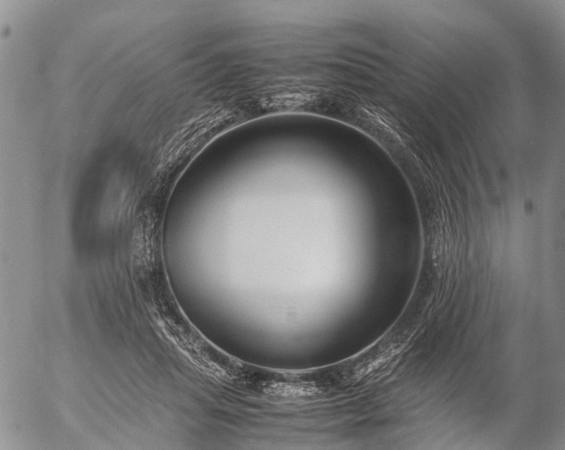 X0000057100455200509161659