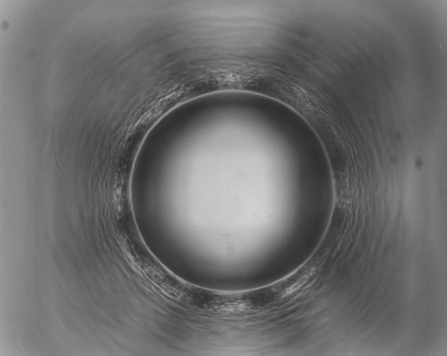 X0000057100456200509161659