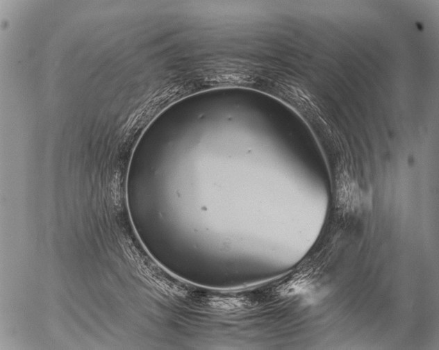 X0000057100457200509161659