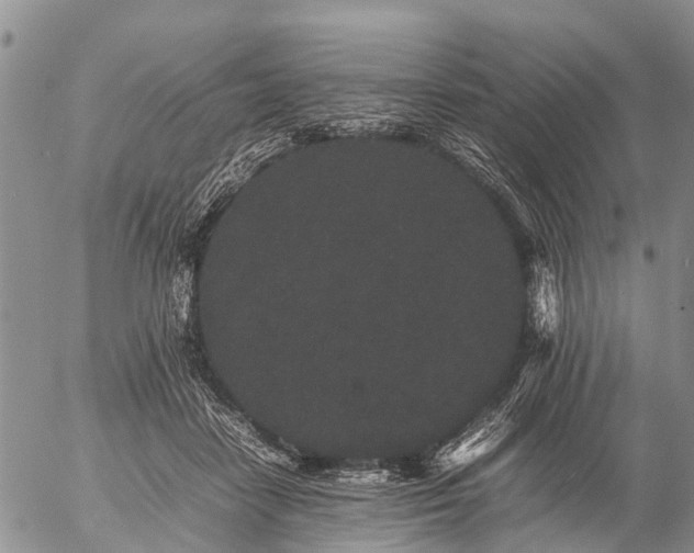 X0000057100458200509161659