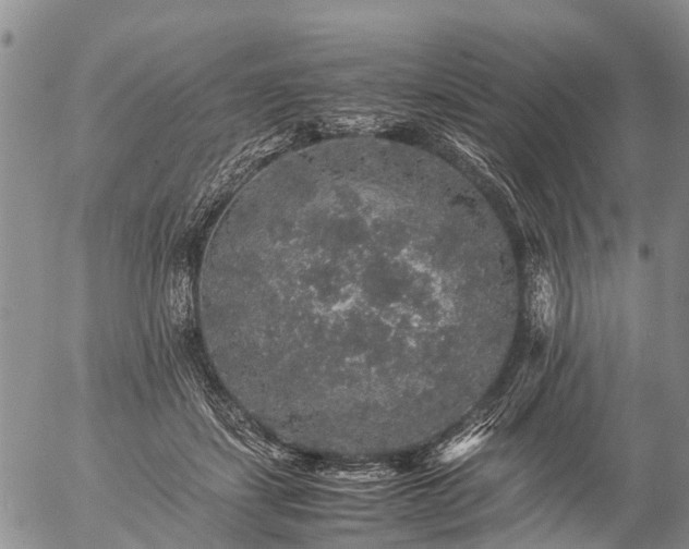 X0000057100459200509161659