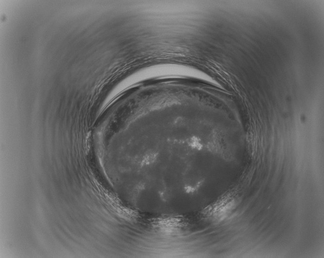 X0000057100462200509161659