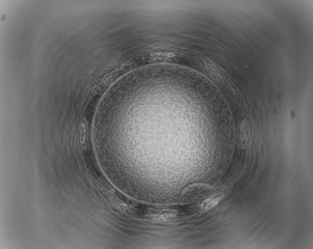 X0000057100463200509161659