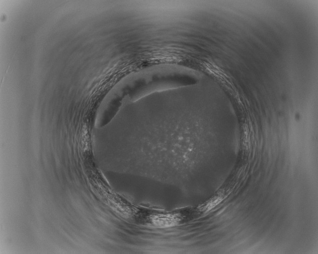 X0000057100465200509161659