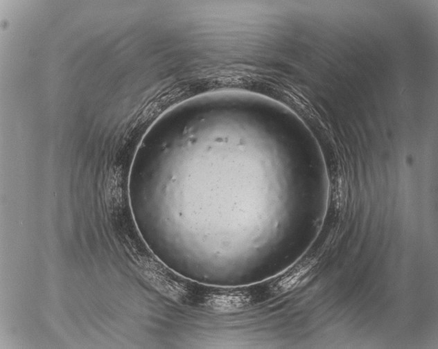 X0000057100466200509161659