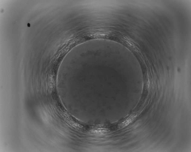 X0000057100467200509161659