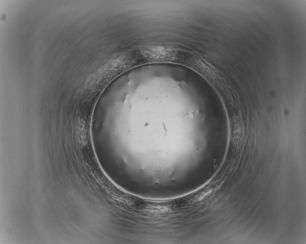 X0000057100469200509161659