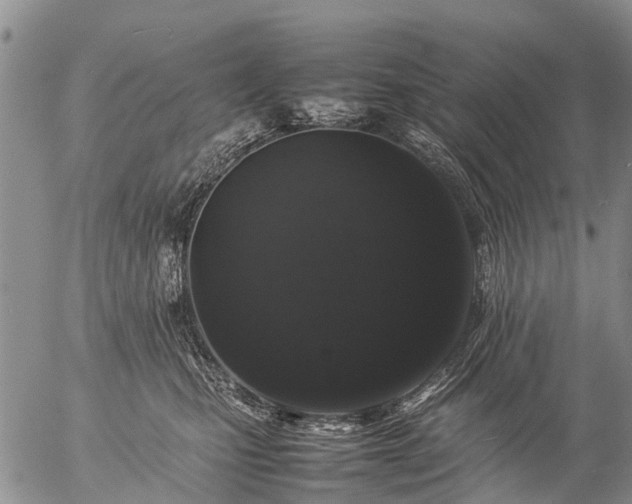 X0000057100471200509161659