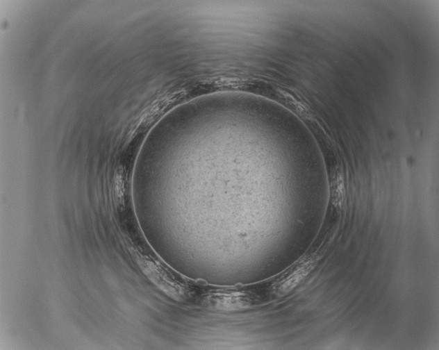 X0000057100472200509161659