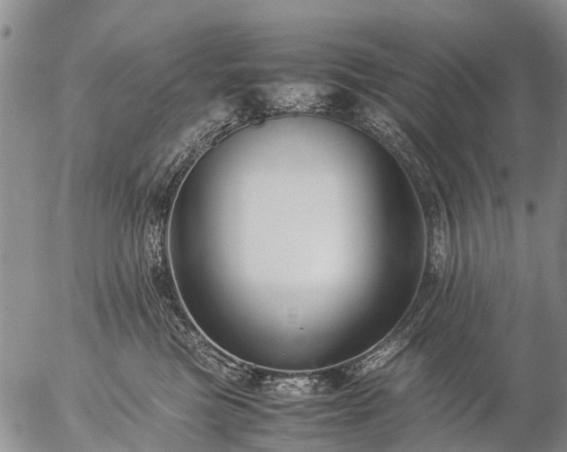 X0000057100473200509161659