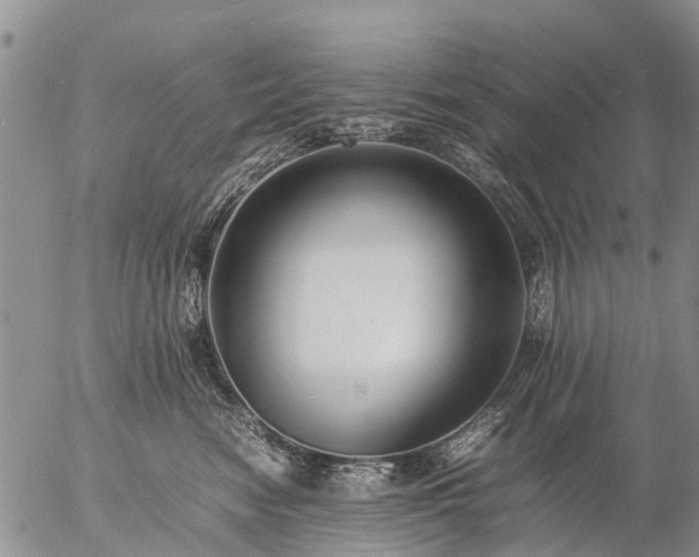 X0000057100474200509161659