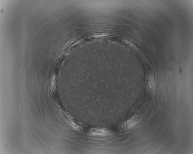 X0000057100475200509161659