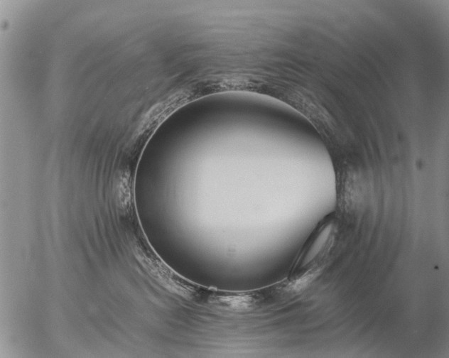 X0000057100478200509161659