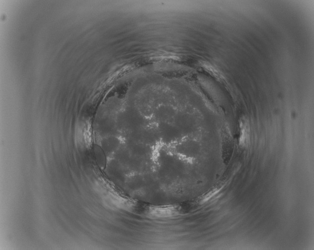 X0000057100479200509161659