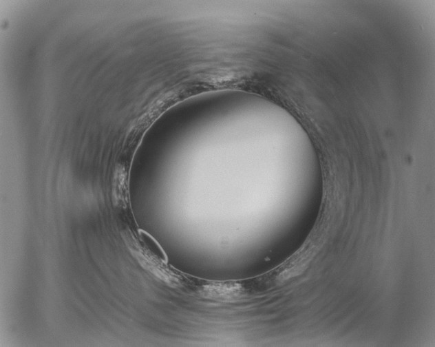 X0000057100480200509161659