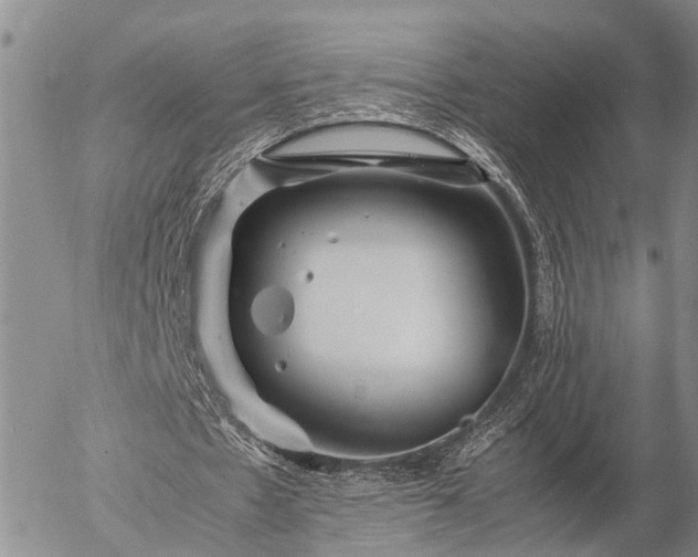 X0000057100481200509161658