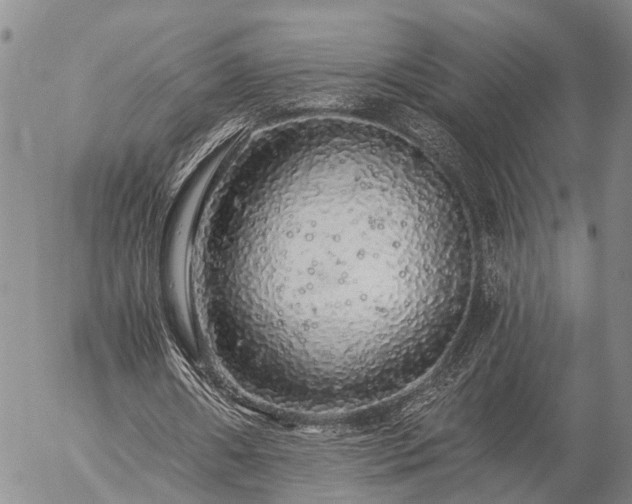 X0000057100482200509161658