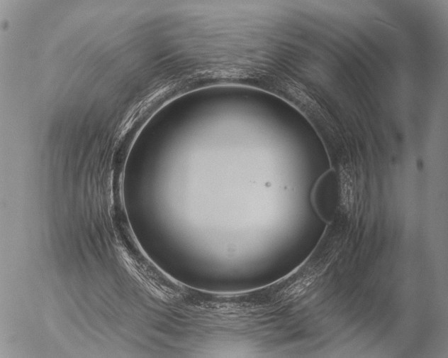 X0000057100486200509161658