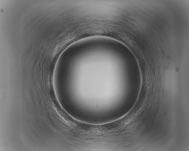 X0000057100489200509161658