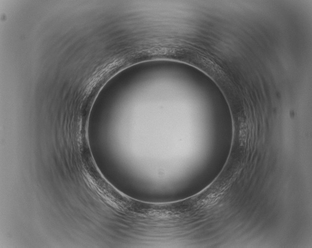 X0000057100490200509161658