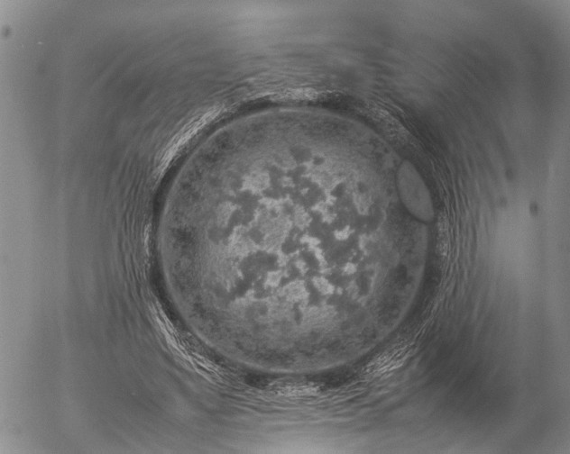 X0000057100491200509161658