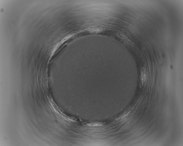 X0000057100492200509161658