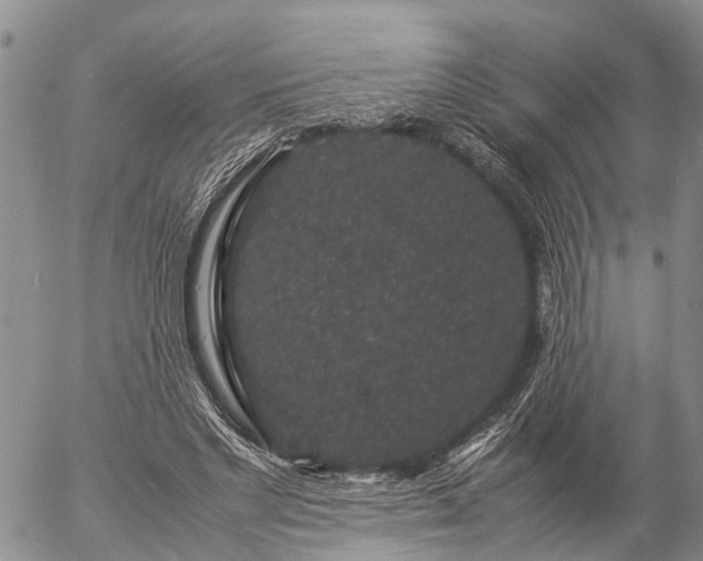 X0000057100493200509161658