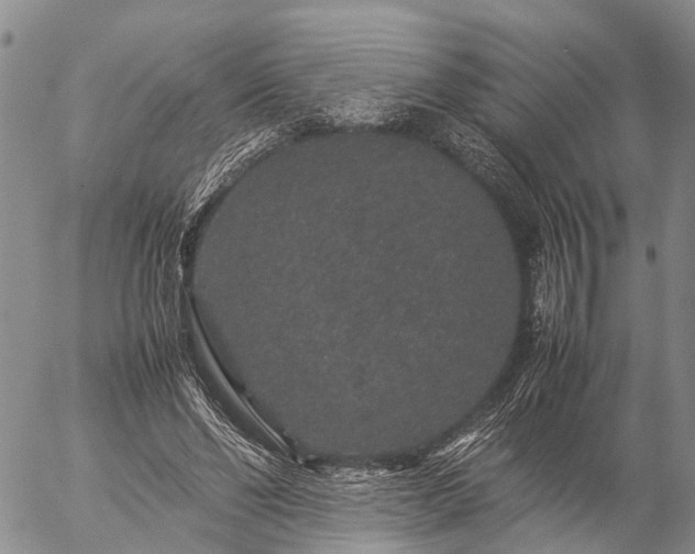 X0000057100494200509161658