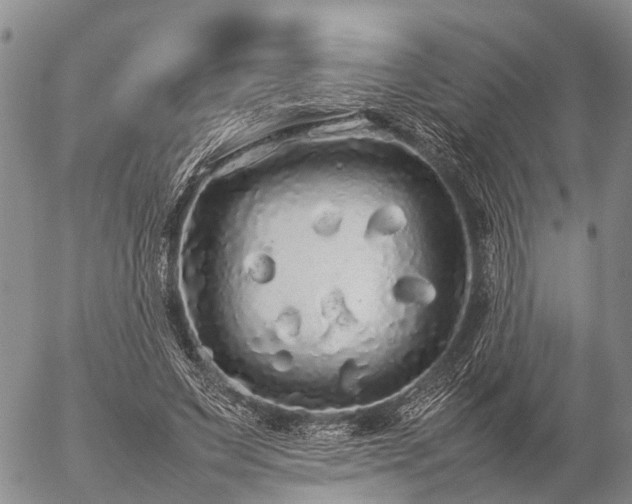 X0000057100495200509161658