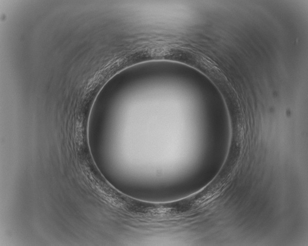 X0000057100497200509161658