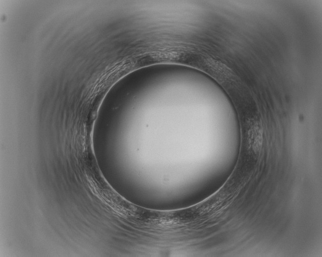 X0000057100498200509161658