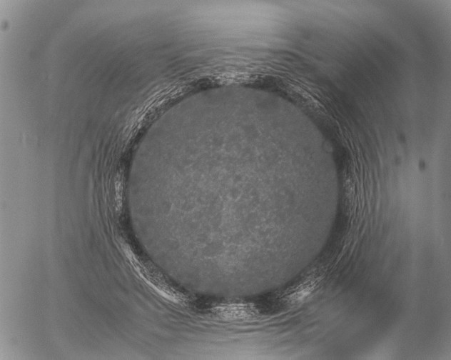 X0000057100499200509161658