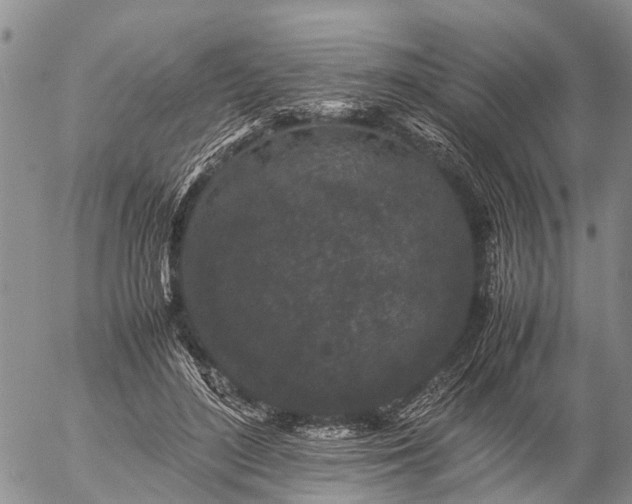 X0000057100500200509161658