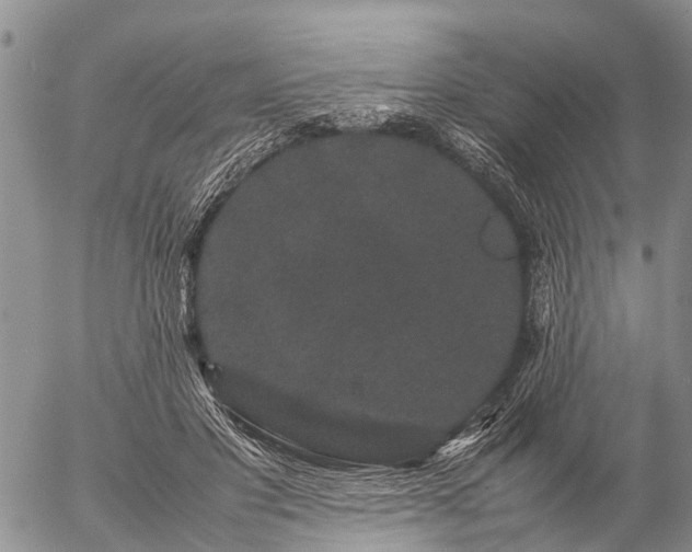 X0000057100501200509161658