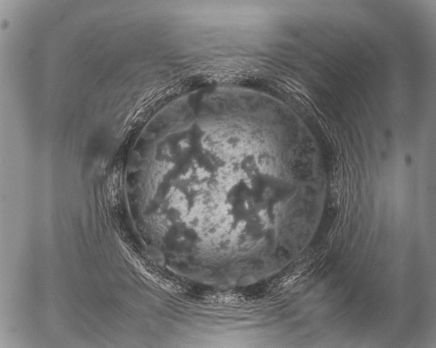 X0000057100503200509161658