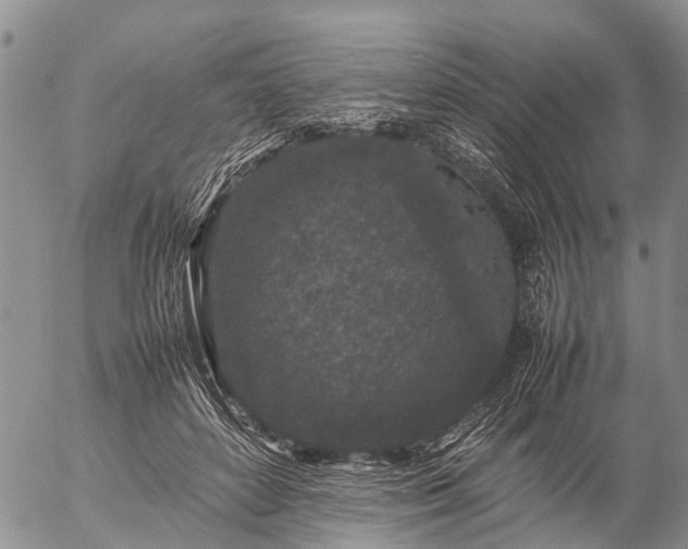 X0000057100504200509161658