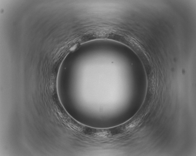 X0000057100505200509161658