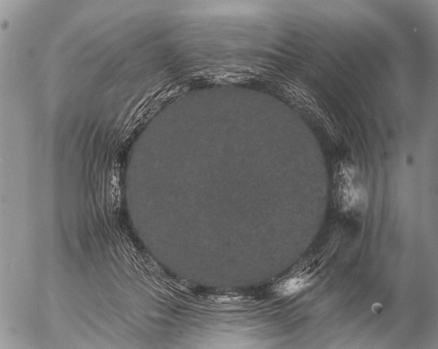 X0000057100506200509161658