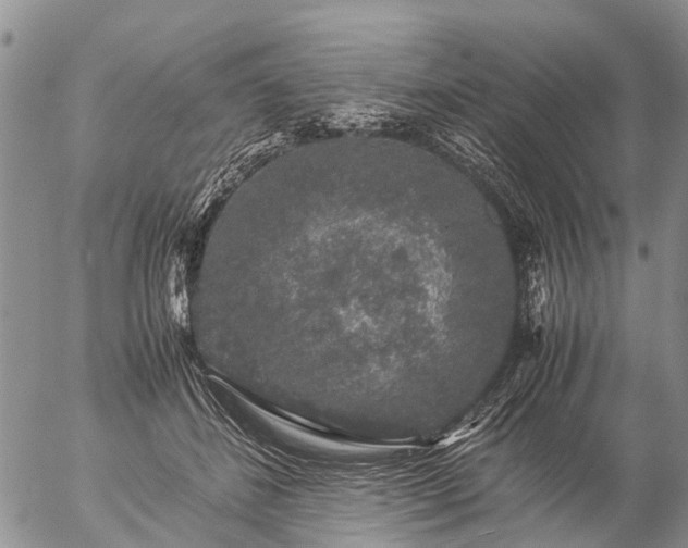 X0000057100508200509161658