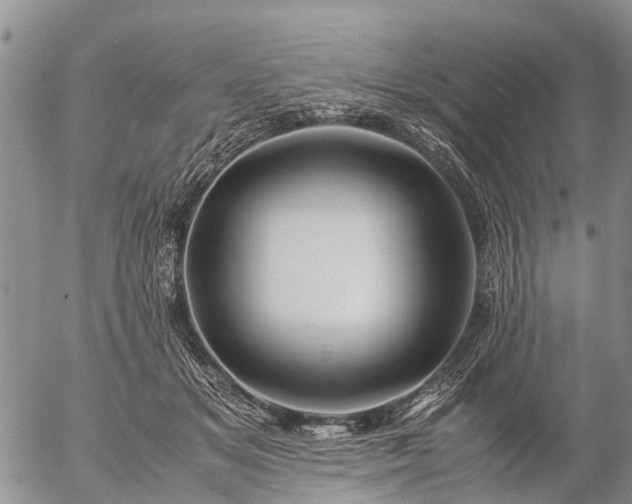 X0000057100509200509161658