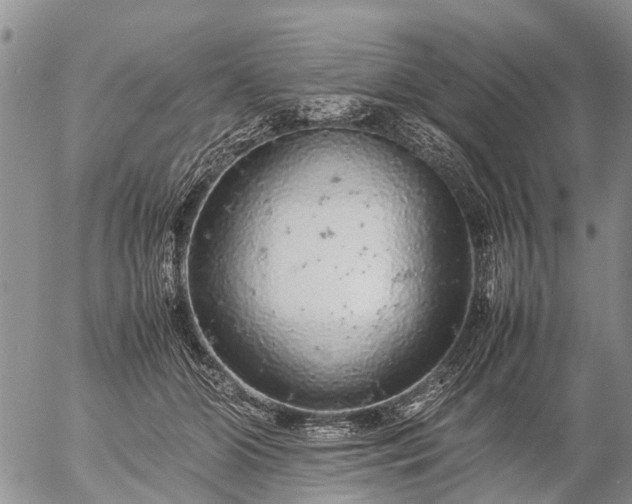 X0000057100510200509161658