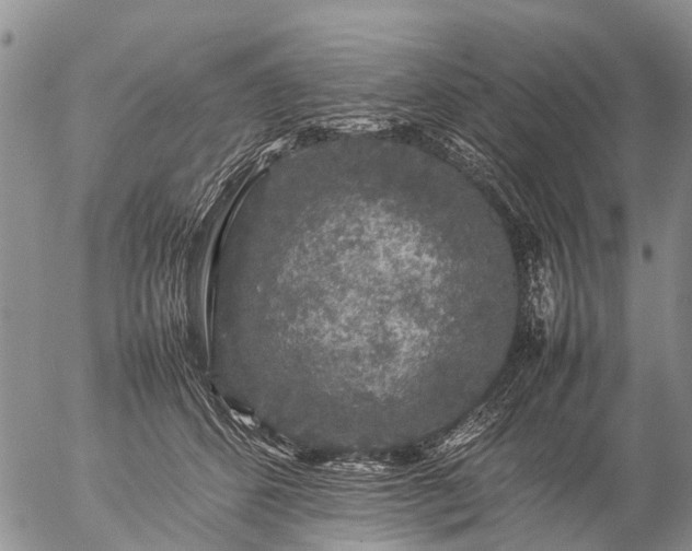 X0000057100512200509161658